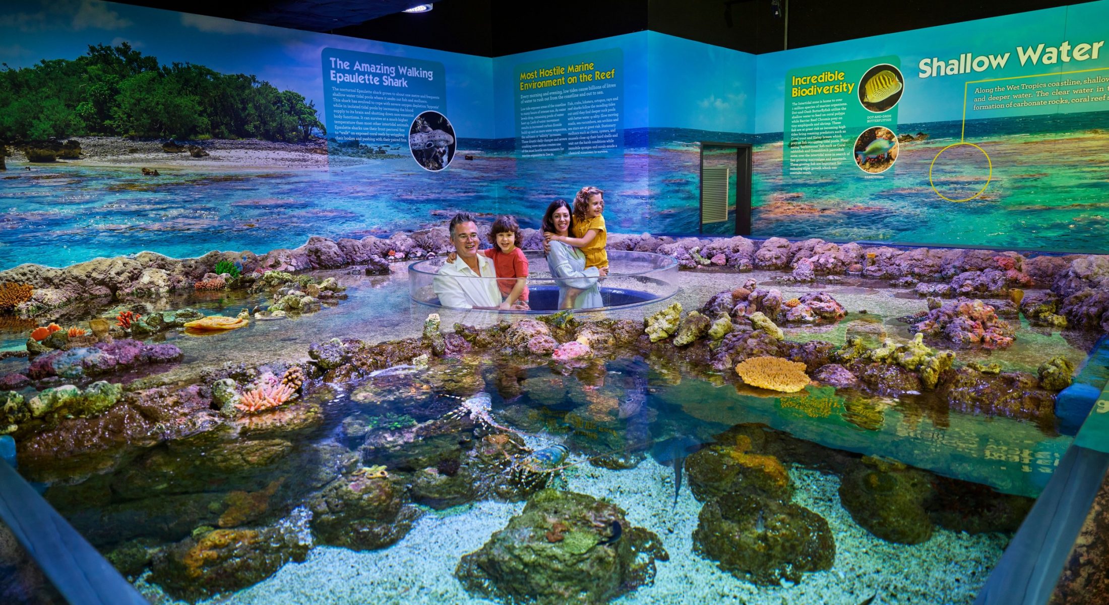 Family viewing shallow water tank